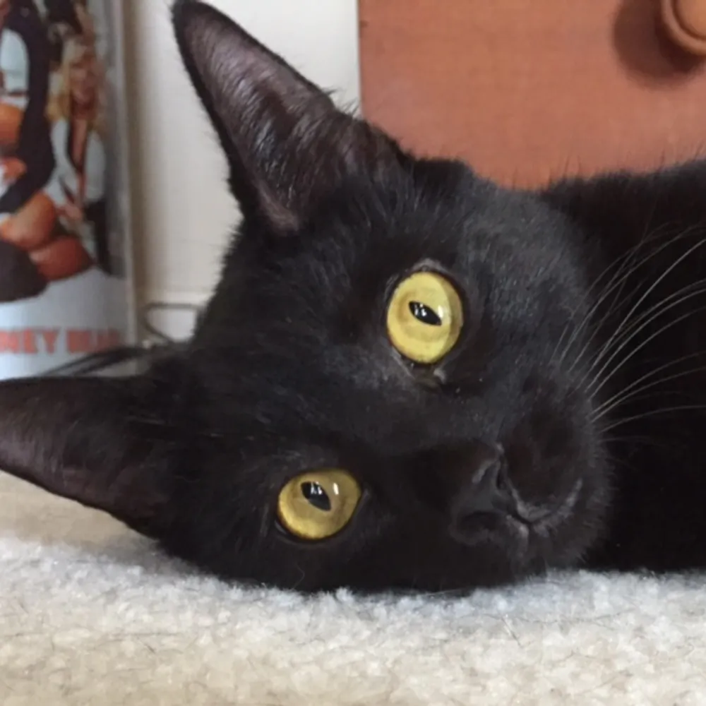 w4jtp.bsky.social's profile picture