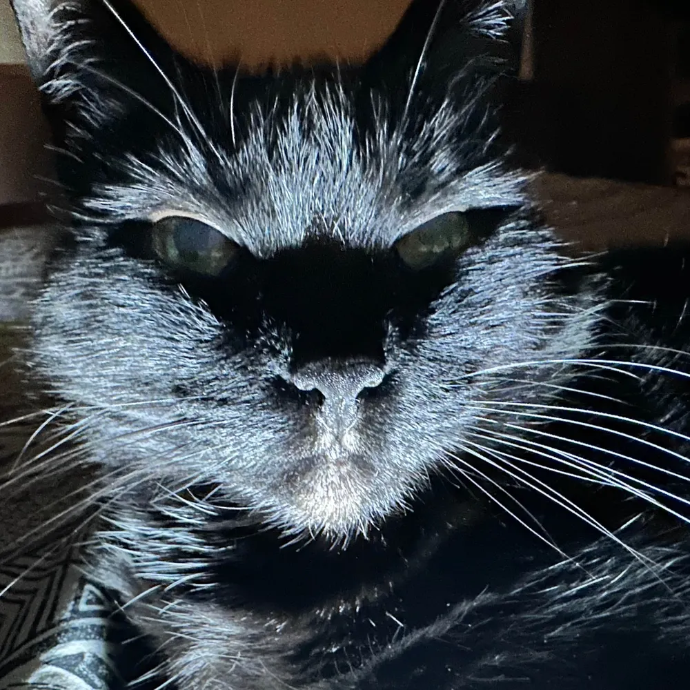 sevenaroma.bsky.social's profile picture