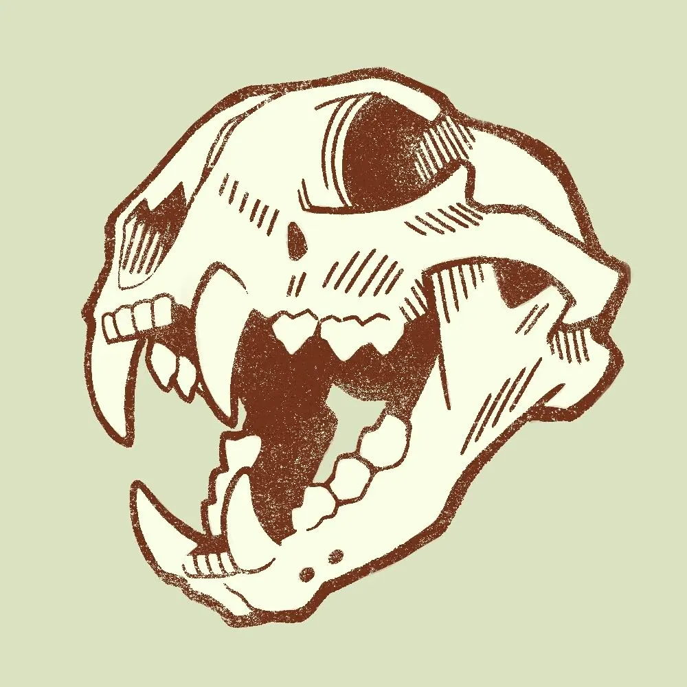 stasanie.com's profile picture