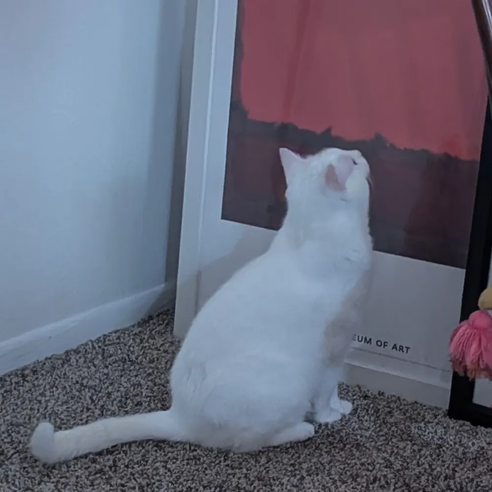 aimtx.bsky.social's profile picture