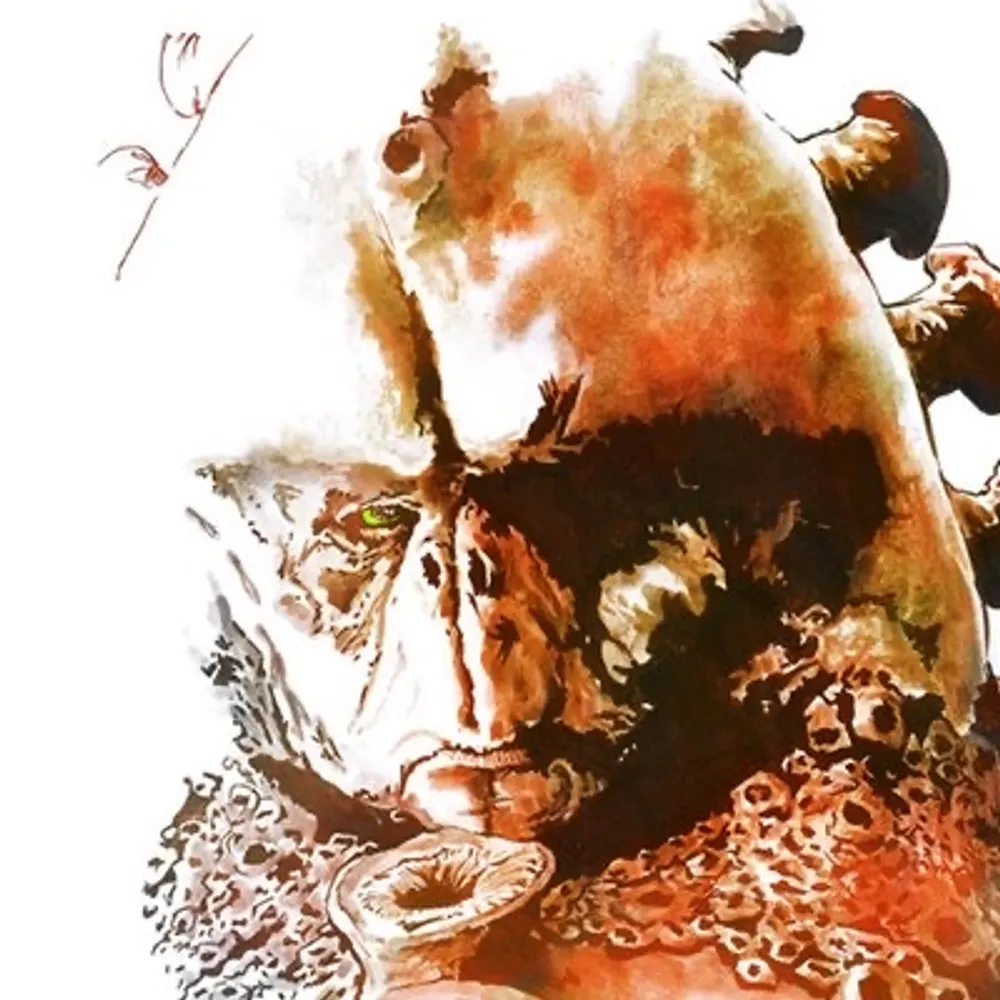 paulpcooke.bsky.social's profile picture