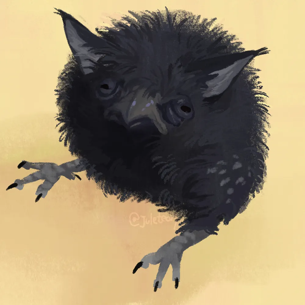 comradecorvus.bsky.social's profile picture