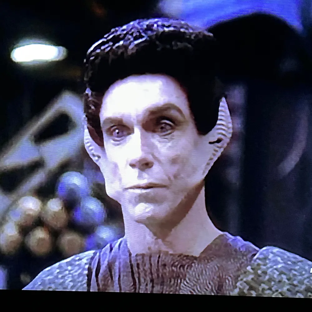 hummingbirdlxix.bsky.social's profile picture