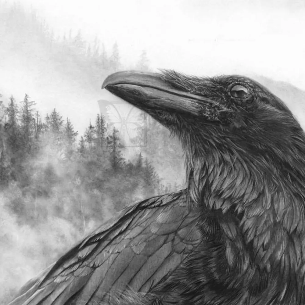 shinyobjects3.bsky.social's profile picture