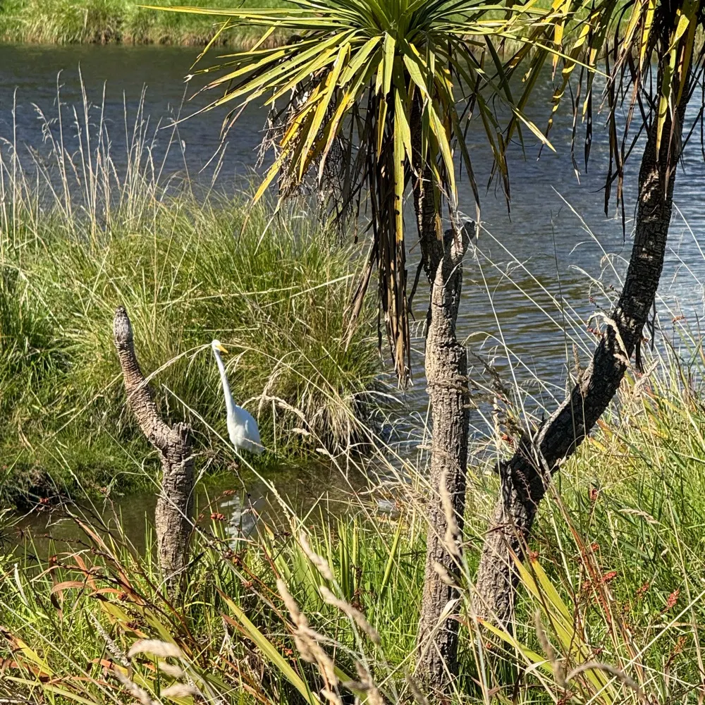 mazolibean.bsky.social's profile picture