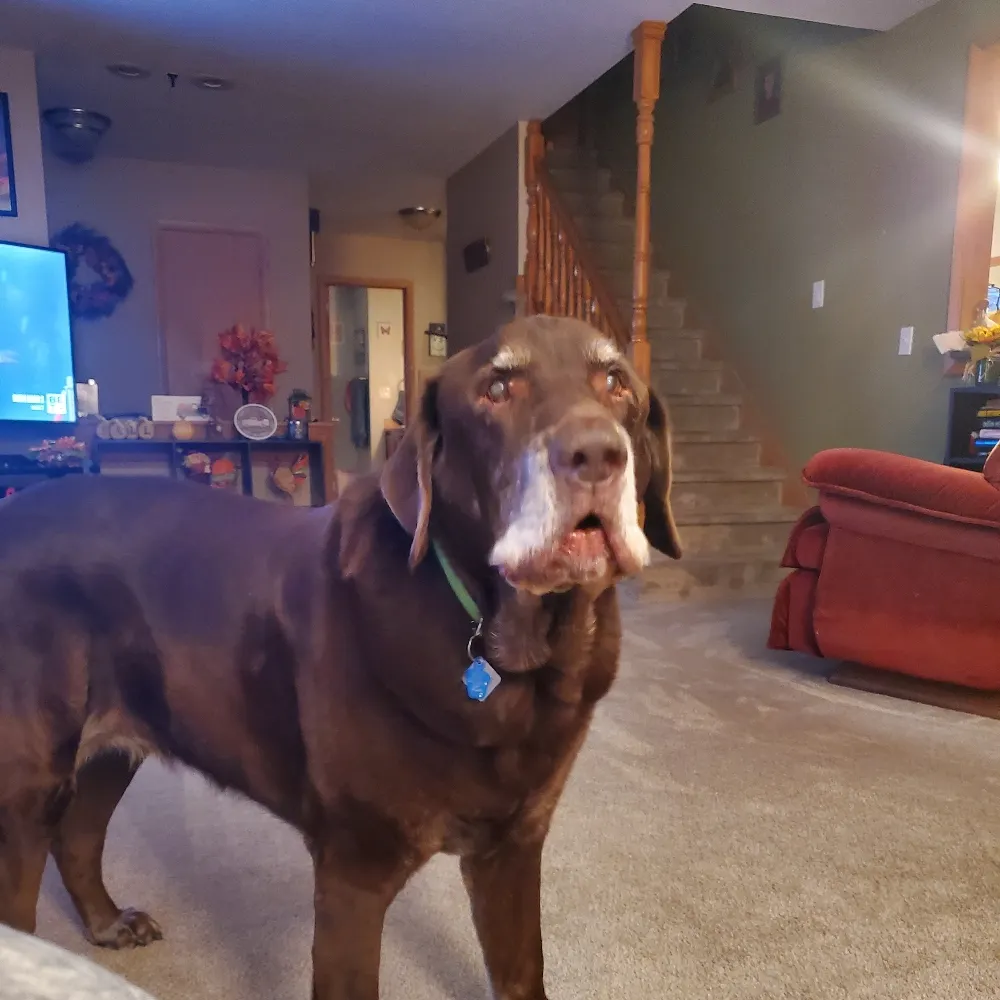 region-five.bsky.social's profile picture