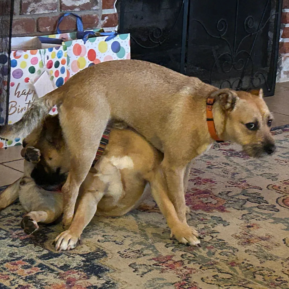 besmith63.bsky.social's profile picture