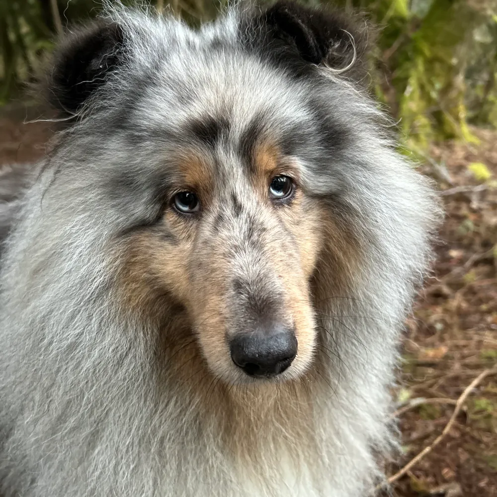 abbailey.bsky.social's profile picture