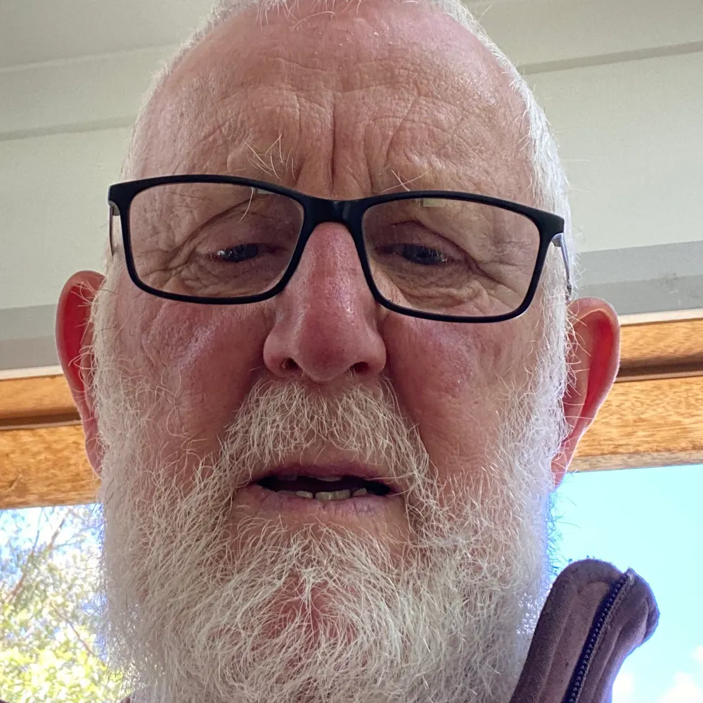 thebeanbarn.bsky.social's profile picture