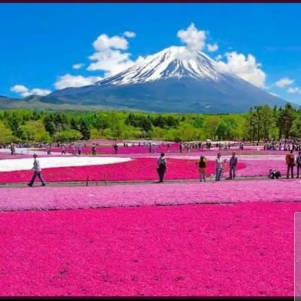 ohyeah7.bsky.social's profile picture