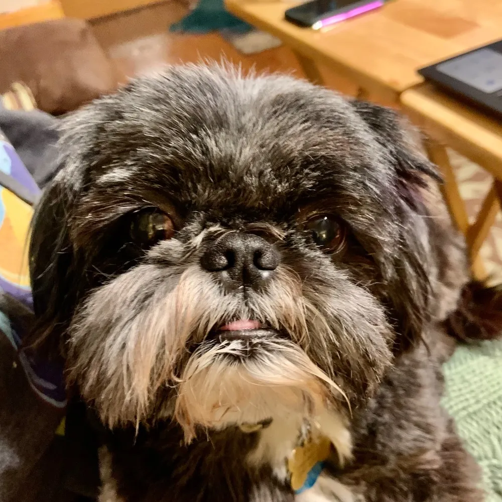 latinteachsmith.bsky.social's profile picture