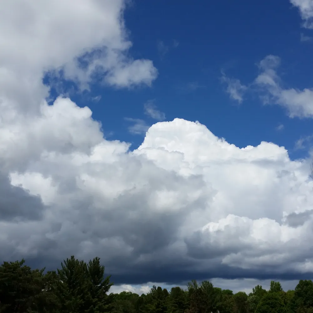 seekingreason.bsky.social's profile picture