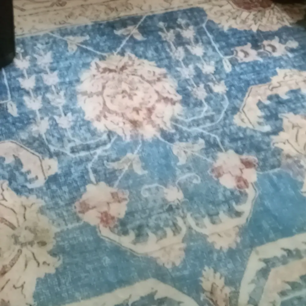 danrenaydo.bsky.social's profile picture