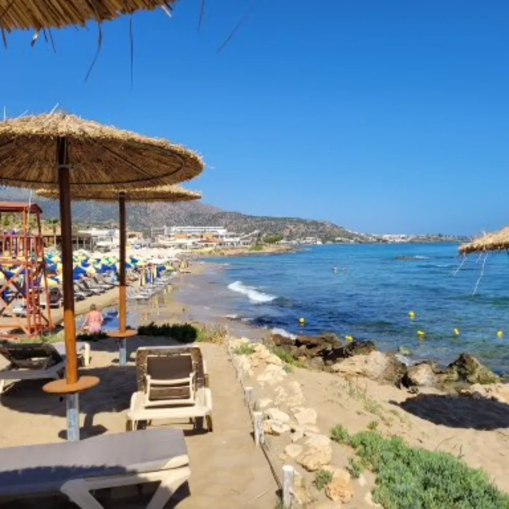 wolfbell.bsky.social's profile picture