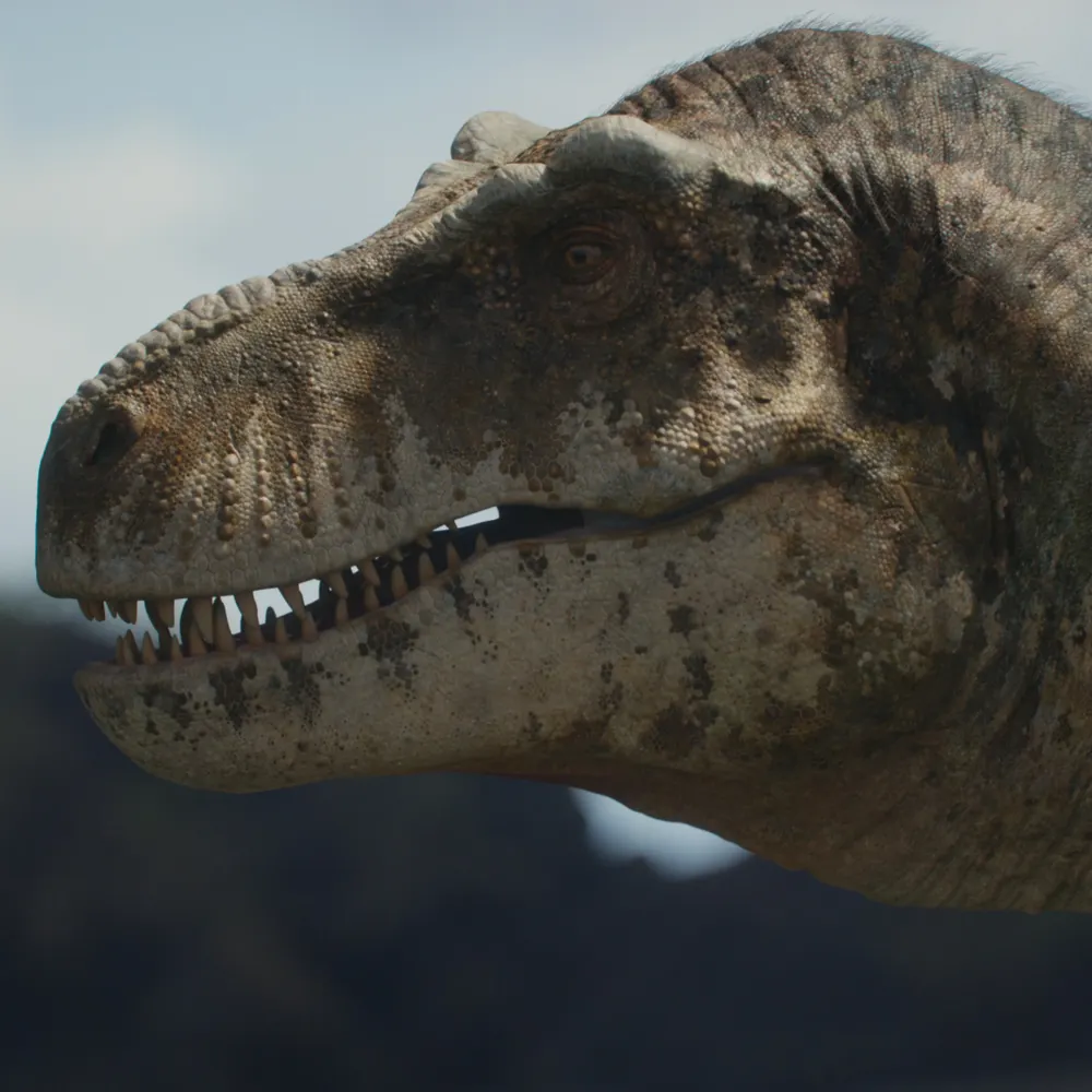 rubynautilus.bsky.social's profile picture