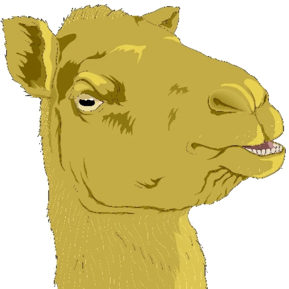 sorrybutno.bsky.social's profile picture