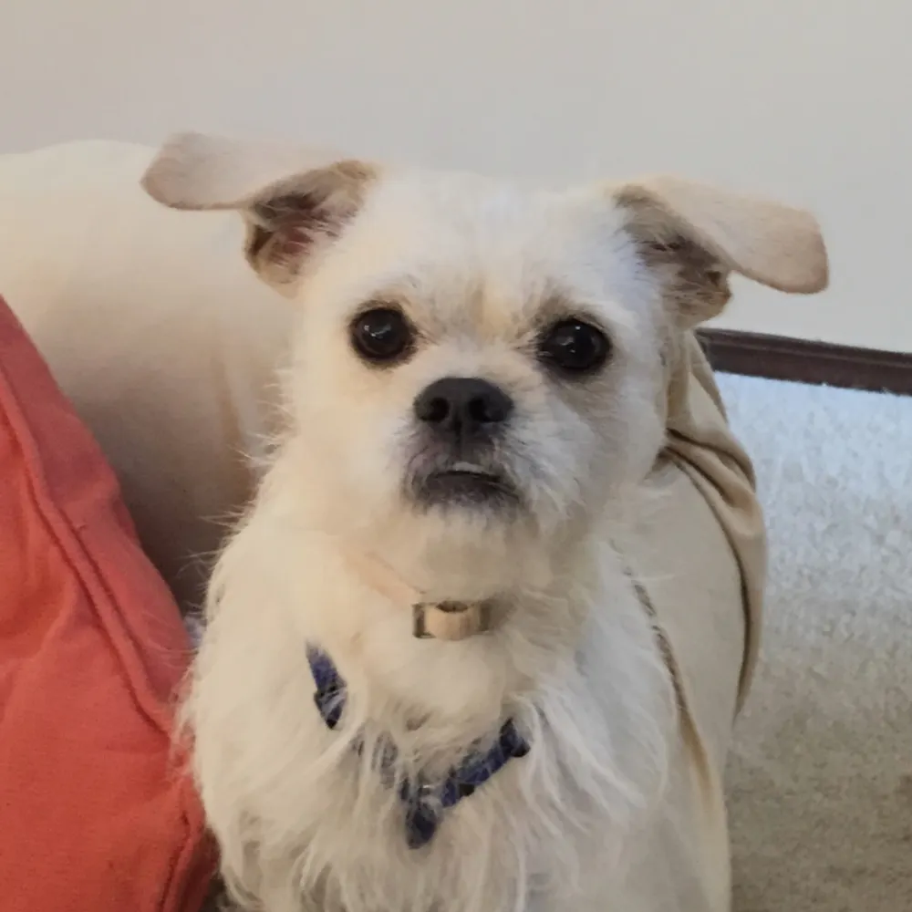 jojanes.bsky.social's profile picture