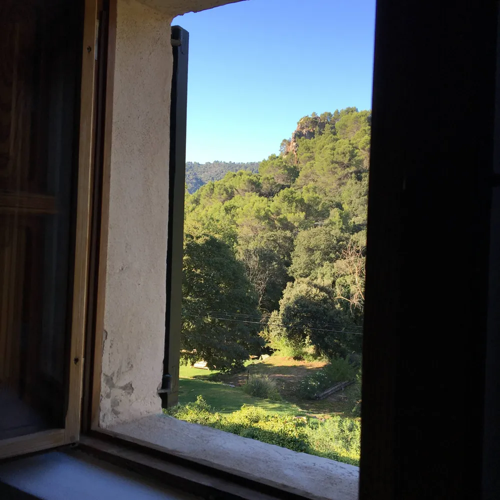 frogboiling.bsky.social's profile picture