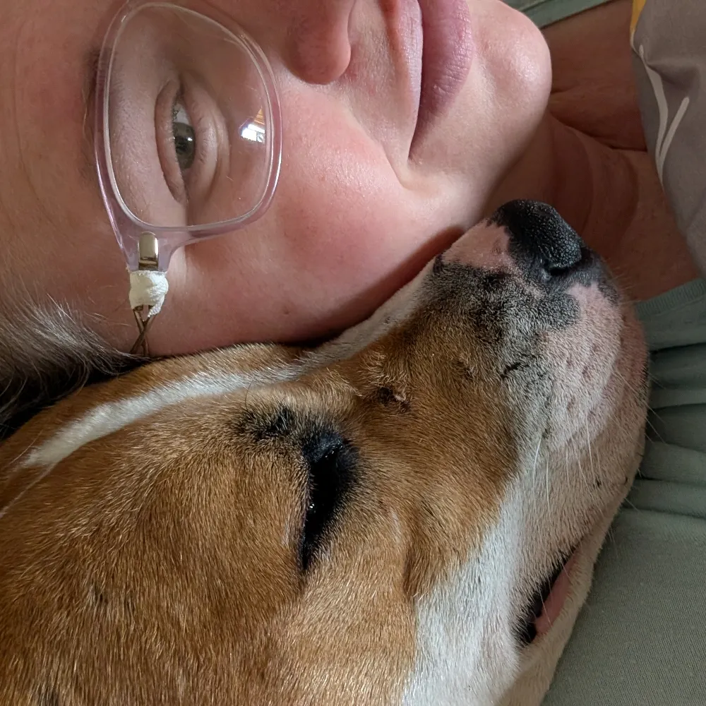 sometimesiamdead.bsky.social's profile picture