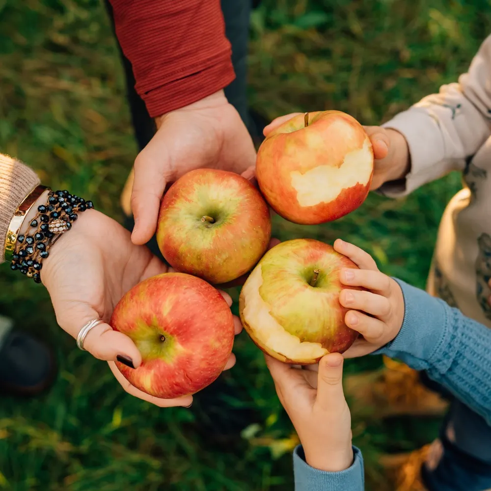 nuix.bsky.social's profile picture