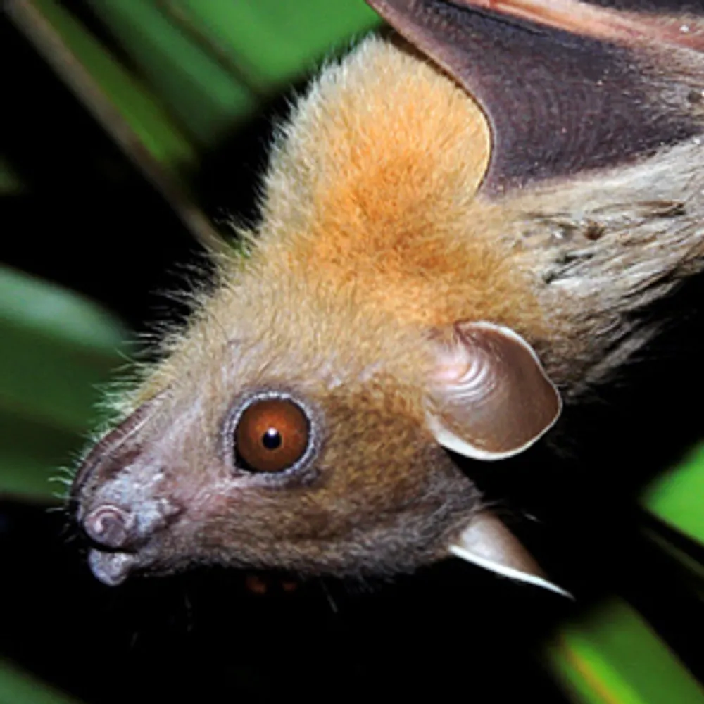 hurdy-gurdy-birdy.bsky.social's profile picture