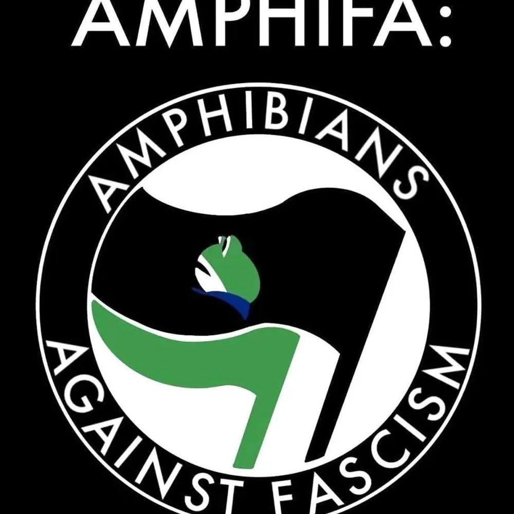 2024bigone.bsky.social's profile picture