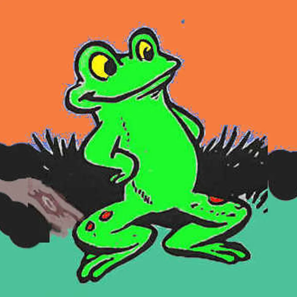 thesmilingfrog.bsky.social's profile picture