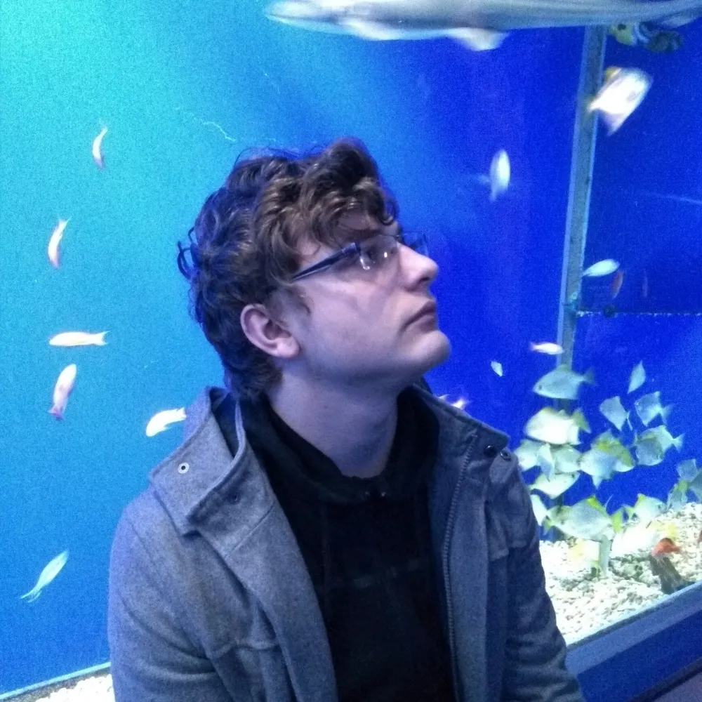 flareling.bsky.social's profile picture