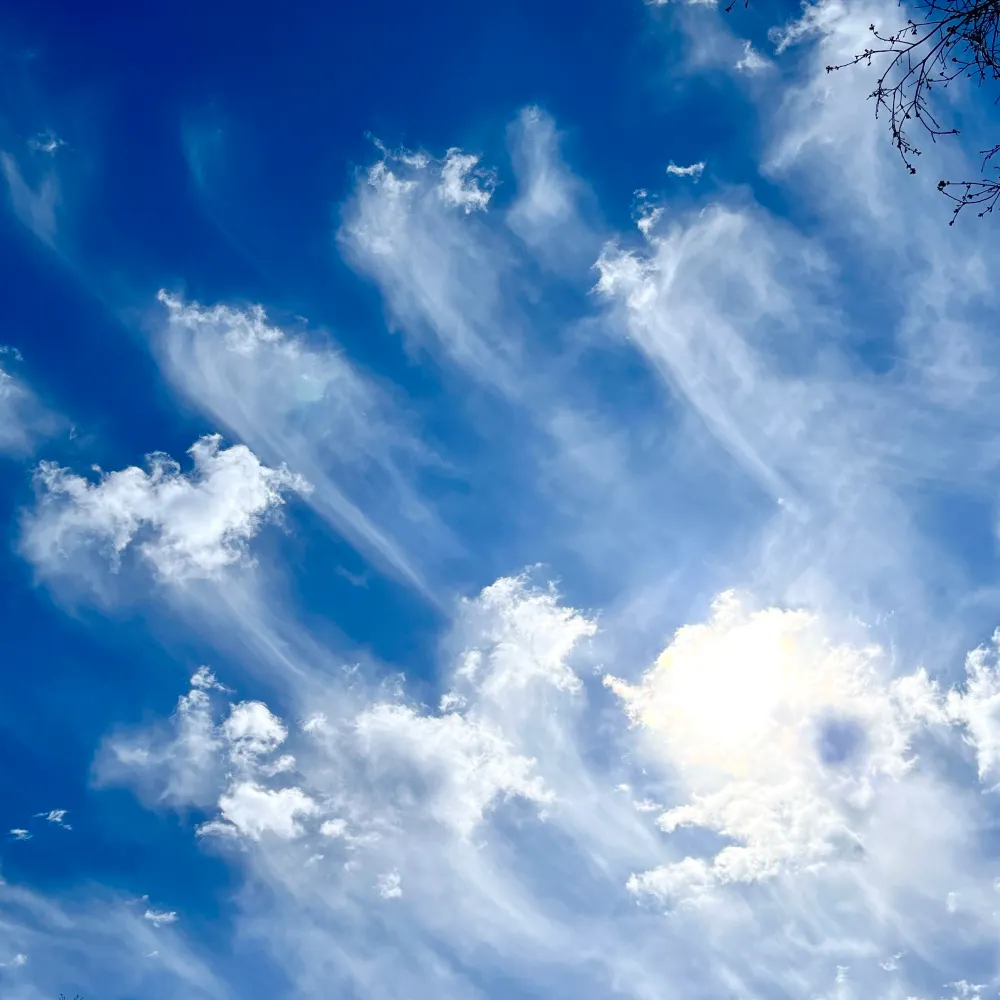 skygazer77.bsky.social's profile picture