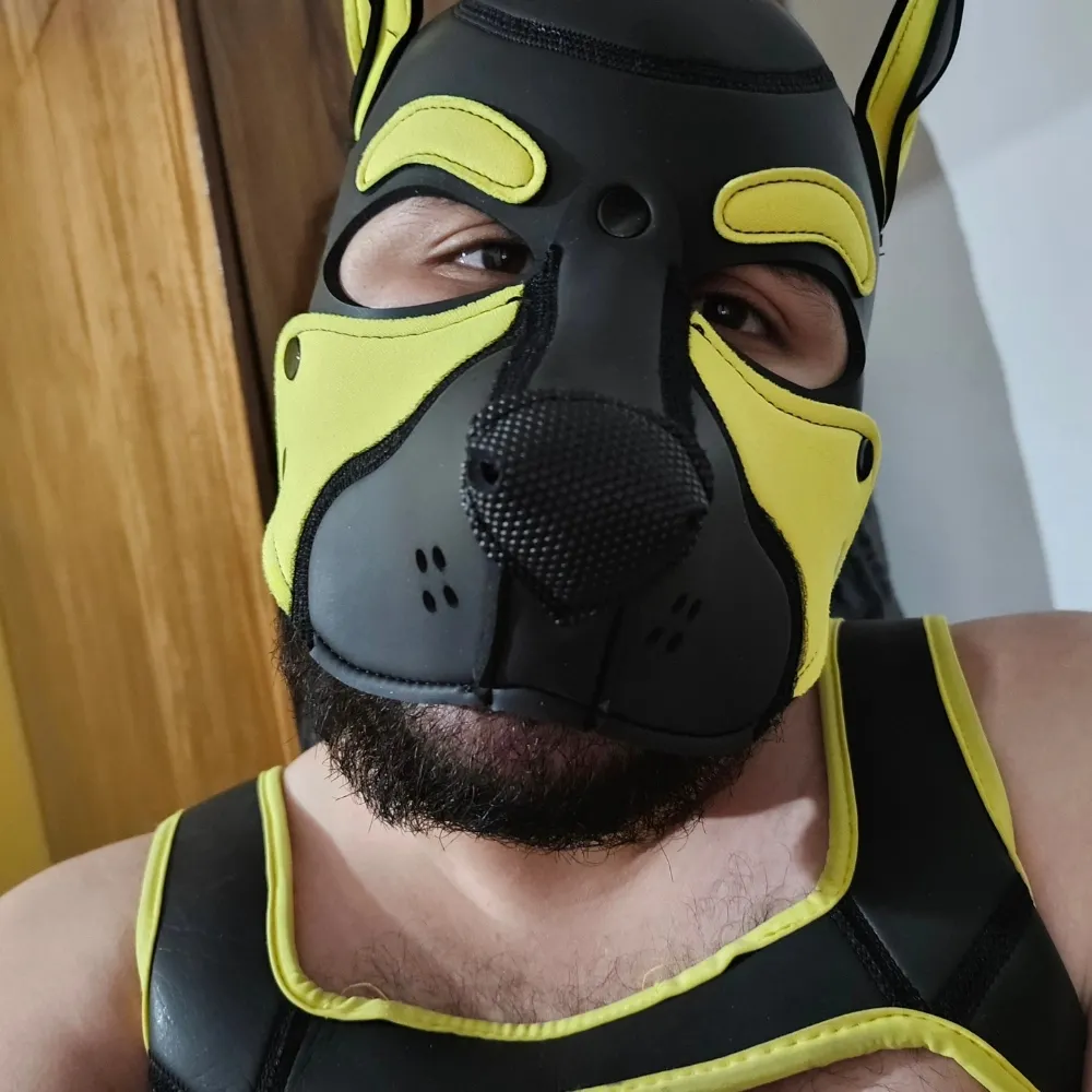 pupsauco.bsky.social's profile picture