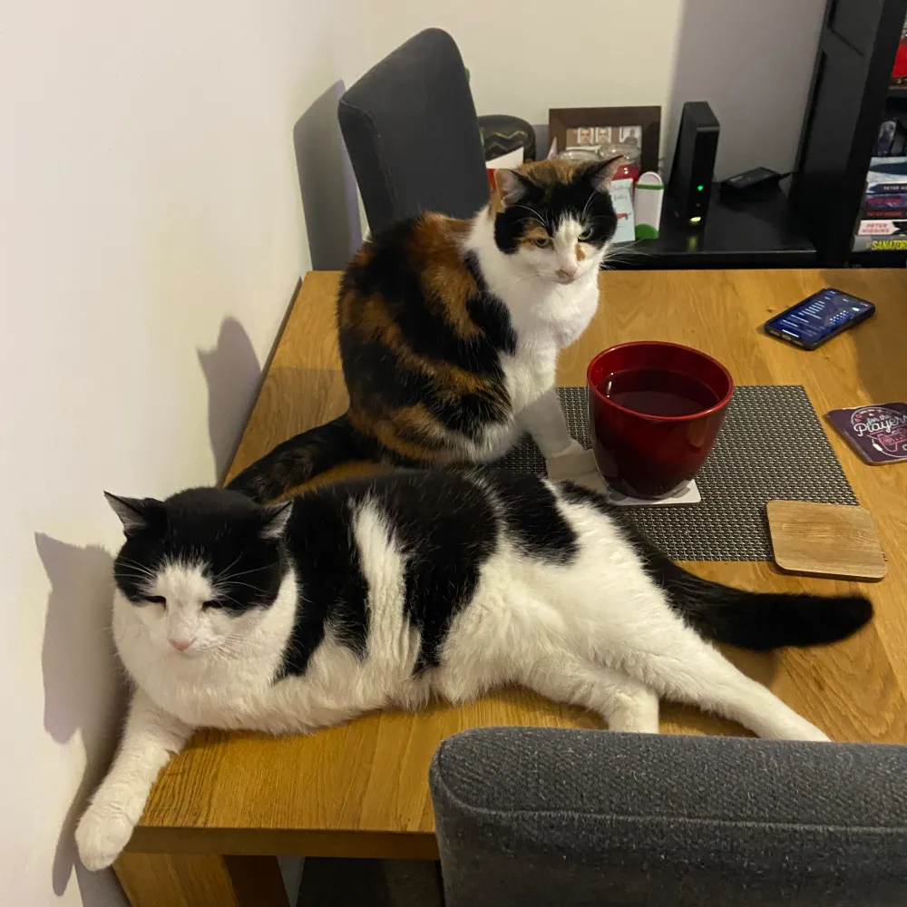 ch6red.bsky.social's profile picture