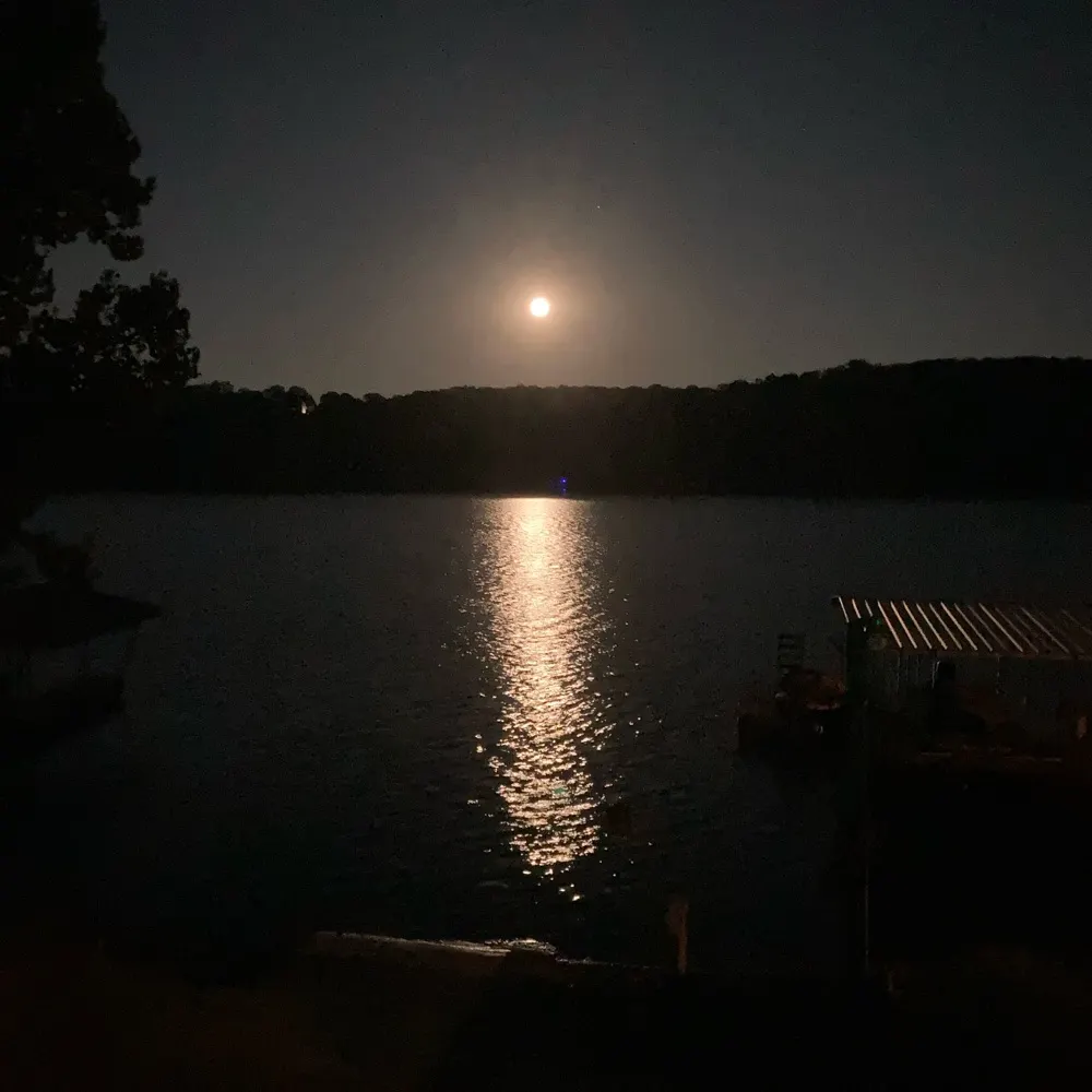 ragingogre.bsky.social's profile picture