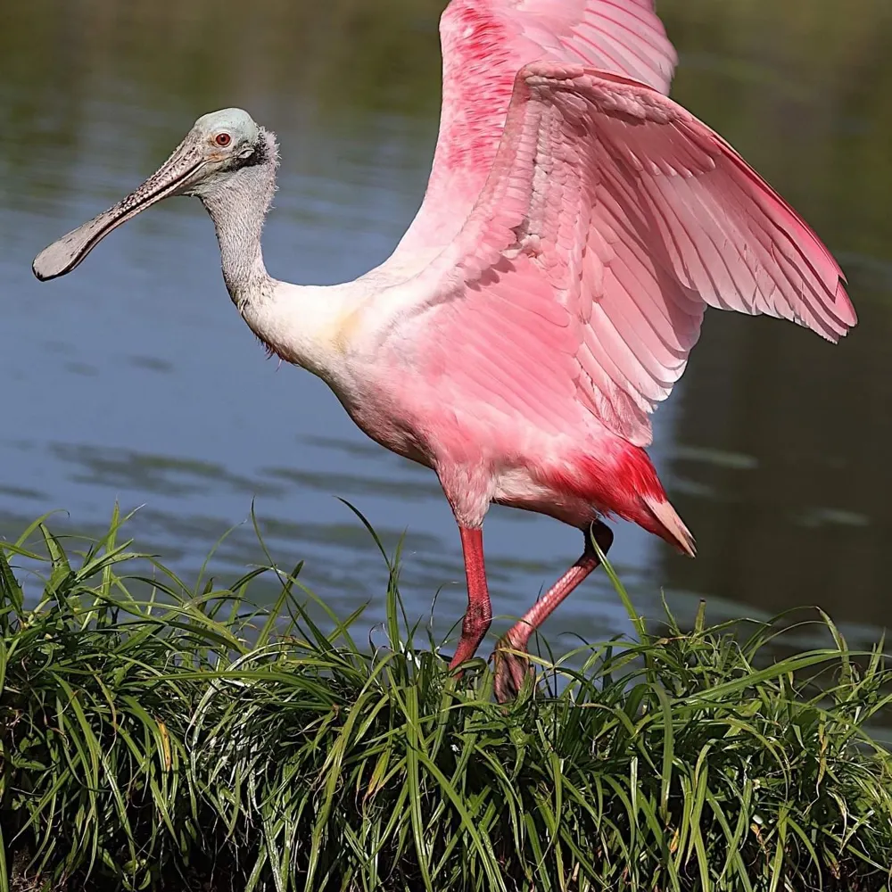 janetdcarter.bsky.social's profile picture