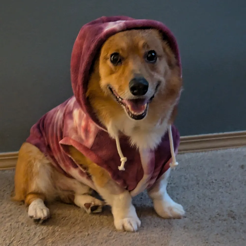 queenrangerslayer.bsky.social's profile picture