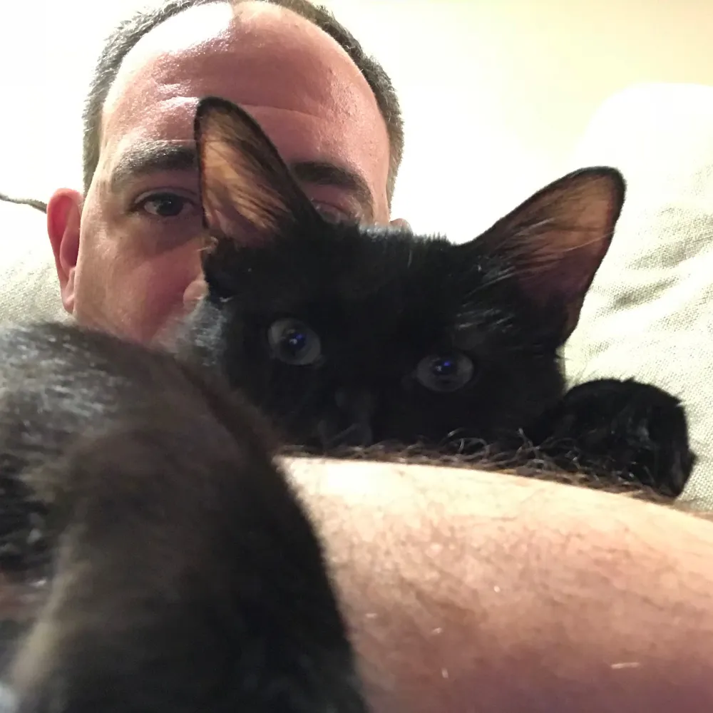 mattnowak1.bsky.social's profile picture