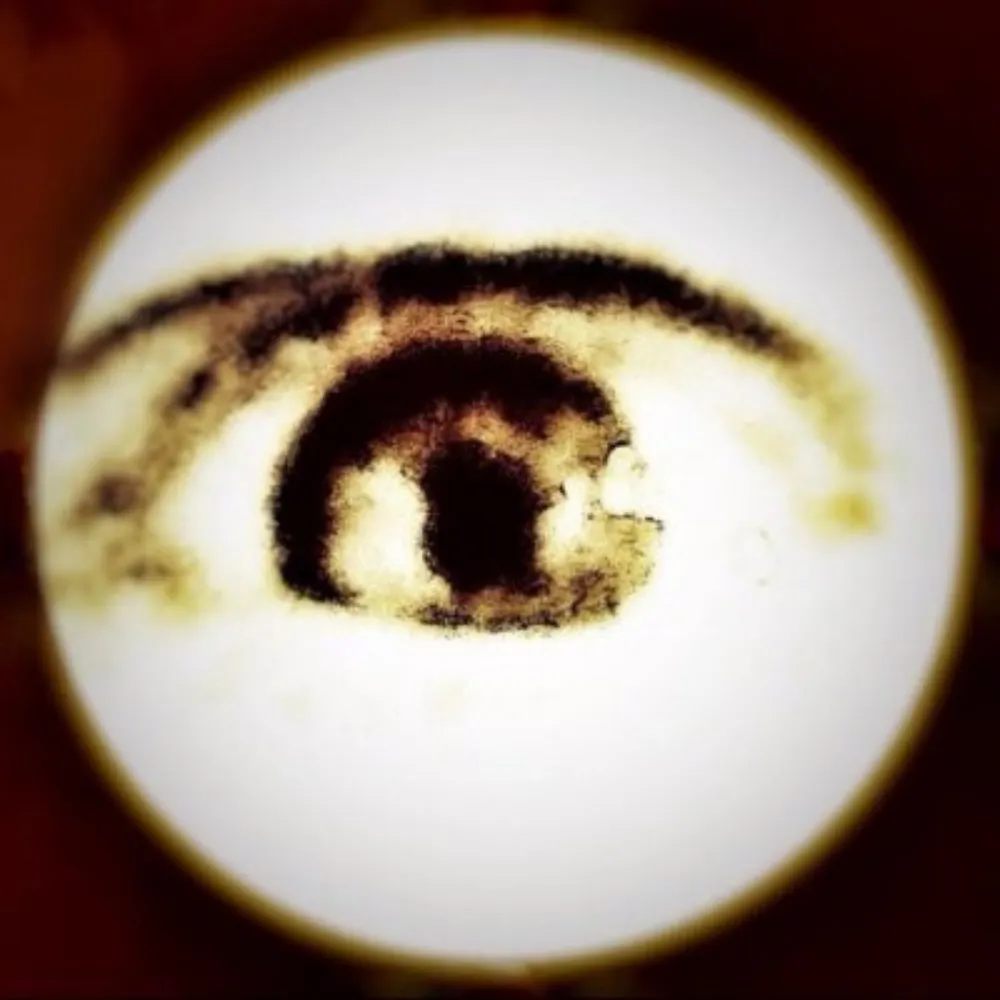 void0reason.bsky.social's profile picture