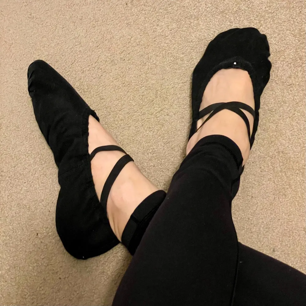 auroragirl.bsky.social's profile picture