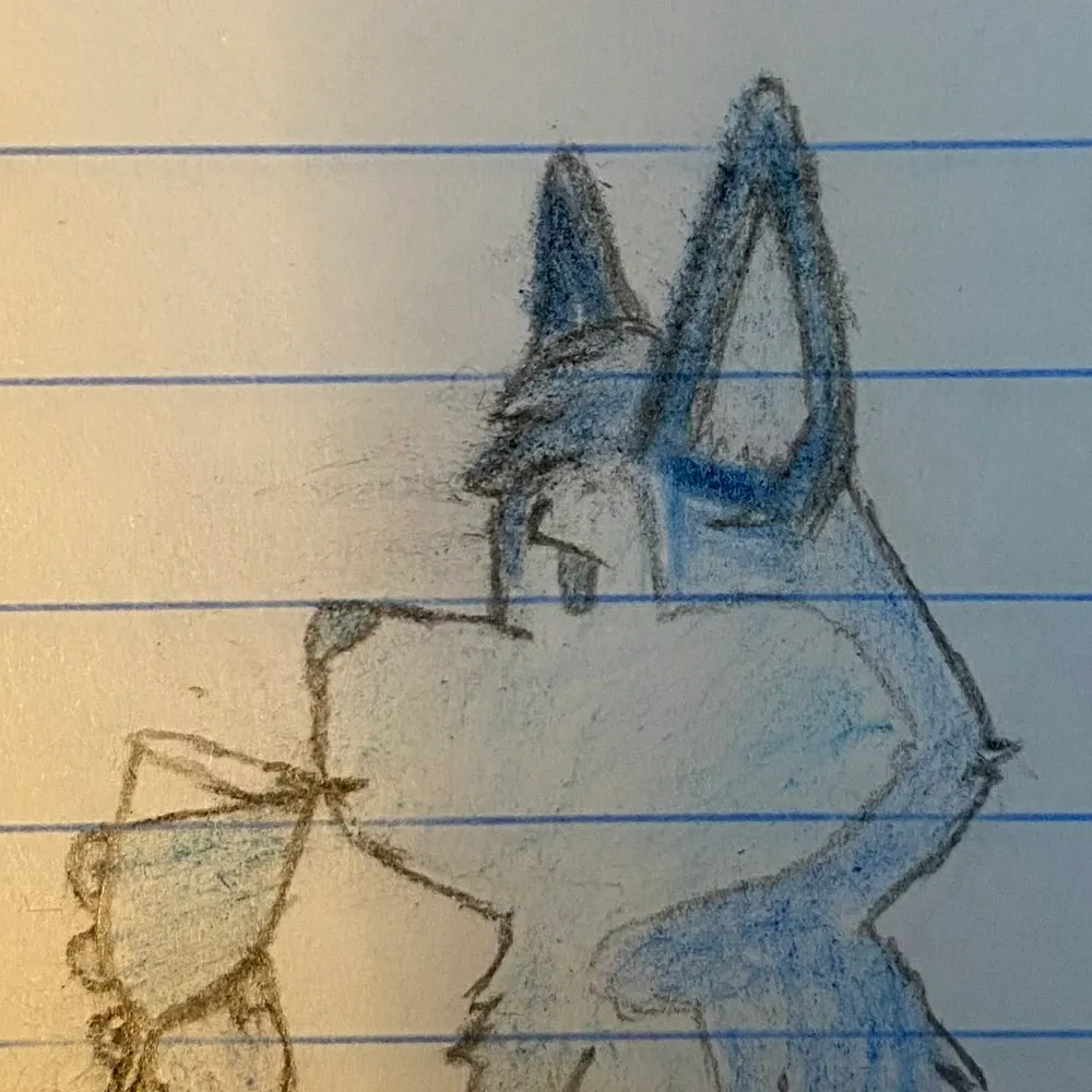 daoni.bsky.social's profile picture