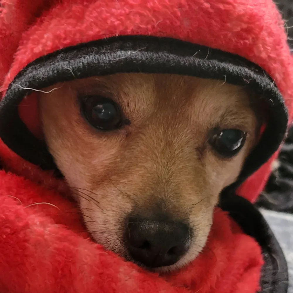 hossasbitch81.bsky.social's profile picture