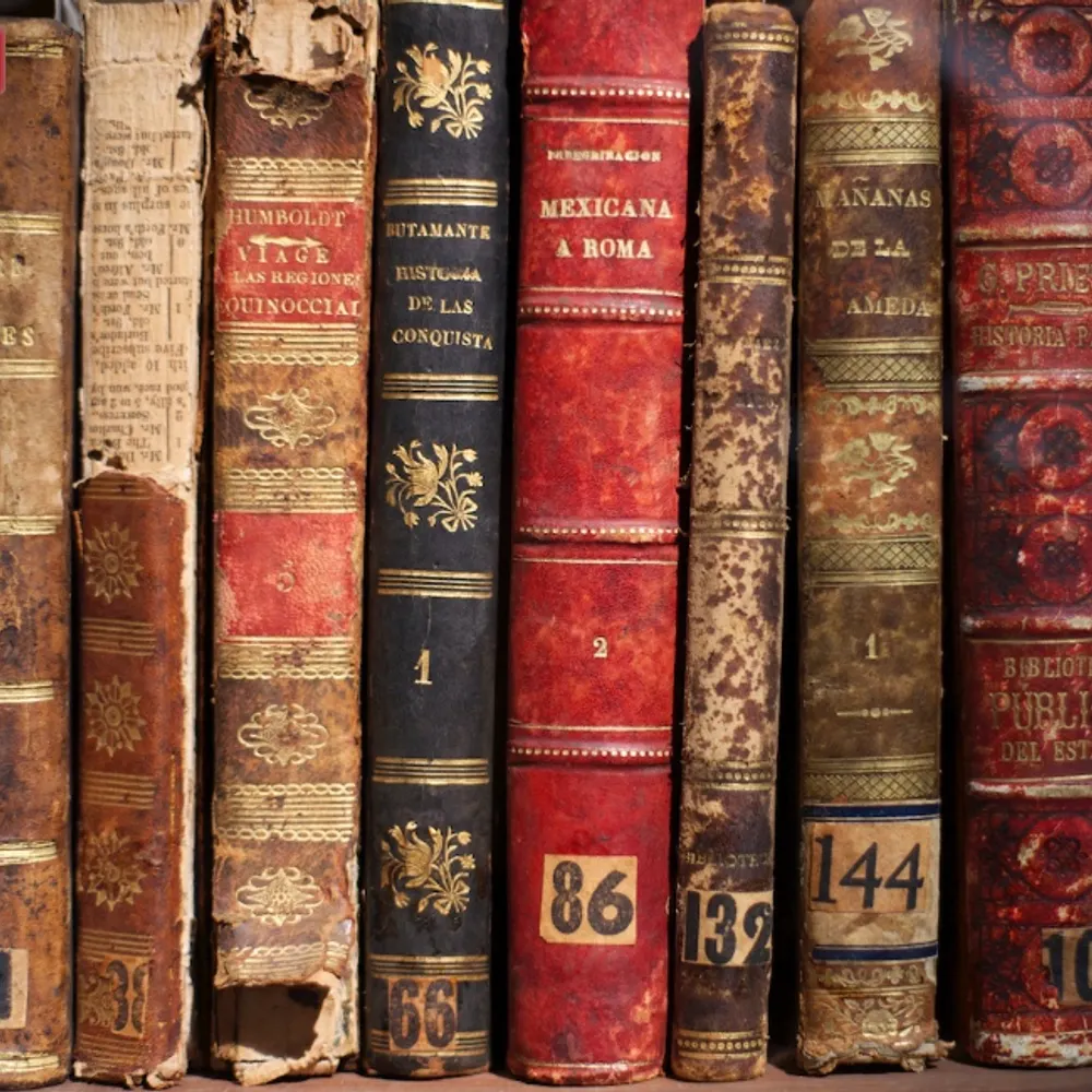 scribblerhackit.bsky.social's profile picture