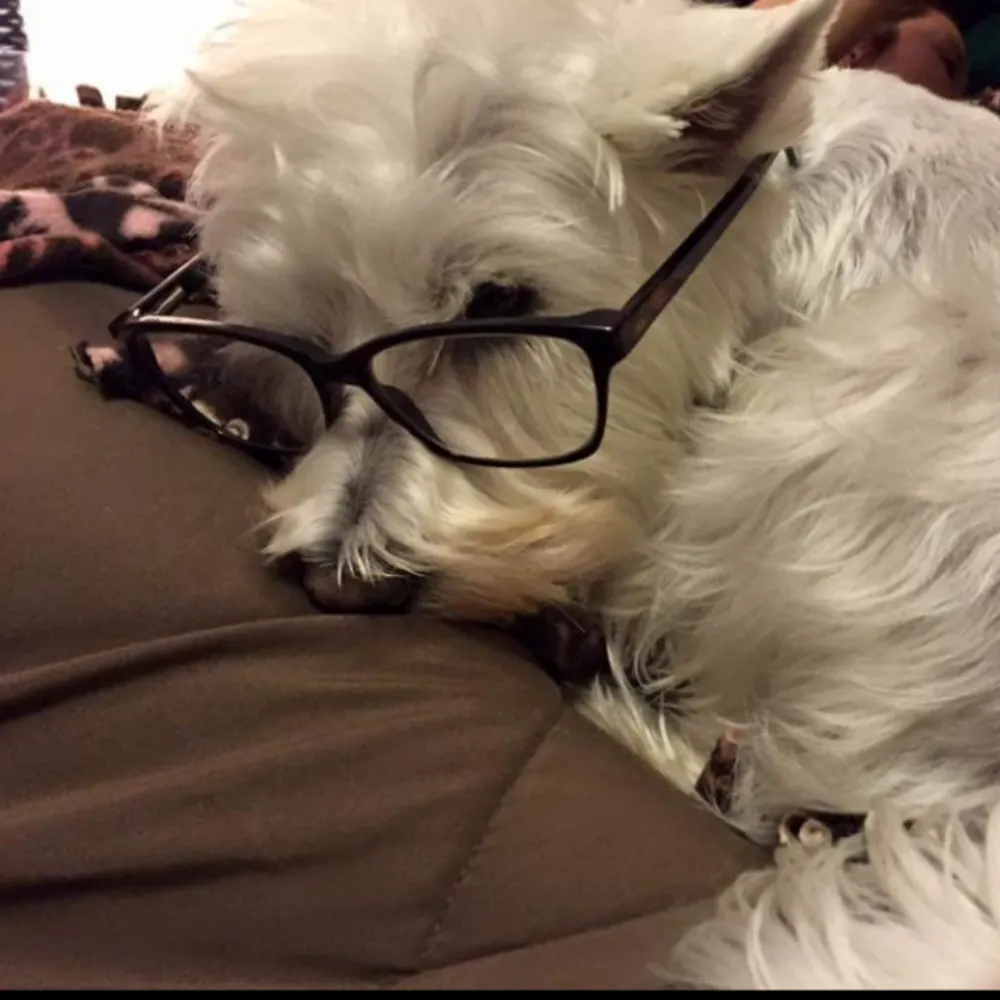 samuelation.bsky.social's profile picture