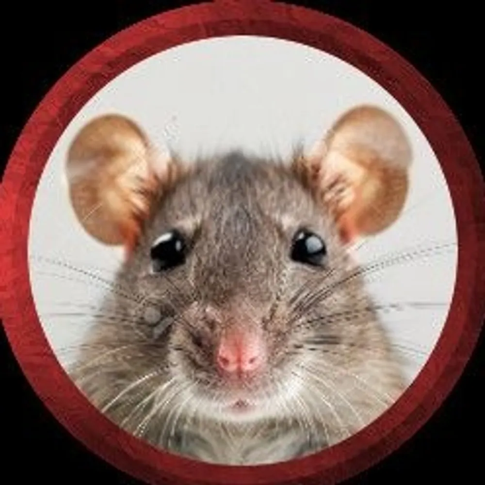 maya-klenger.bsky.social's profile picture