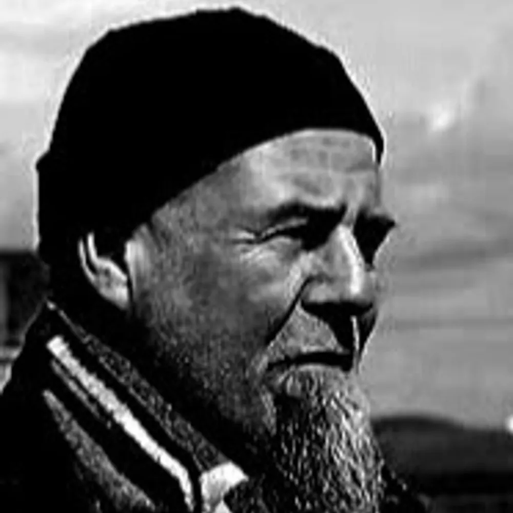 danishescalation.bsky.social's profile picture