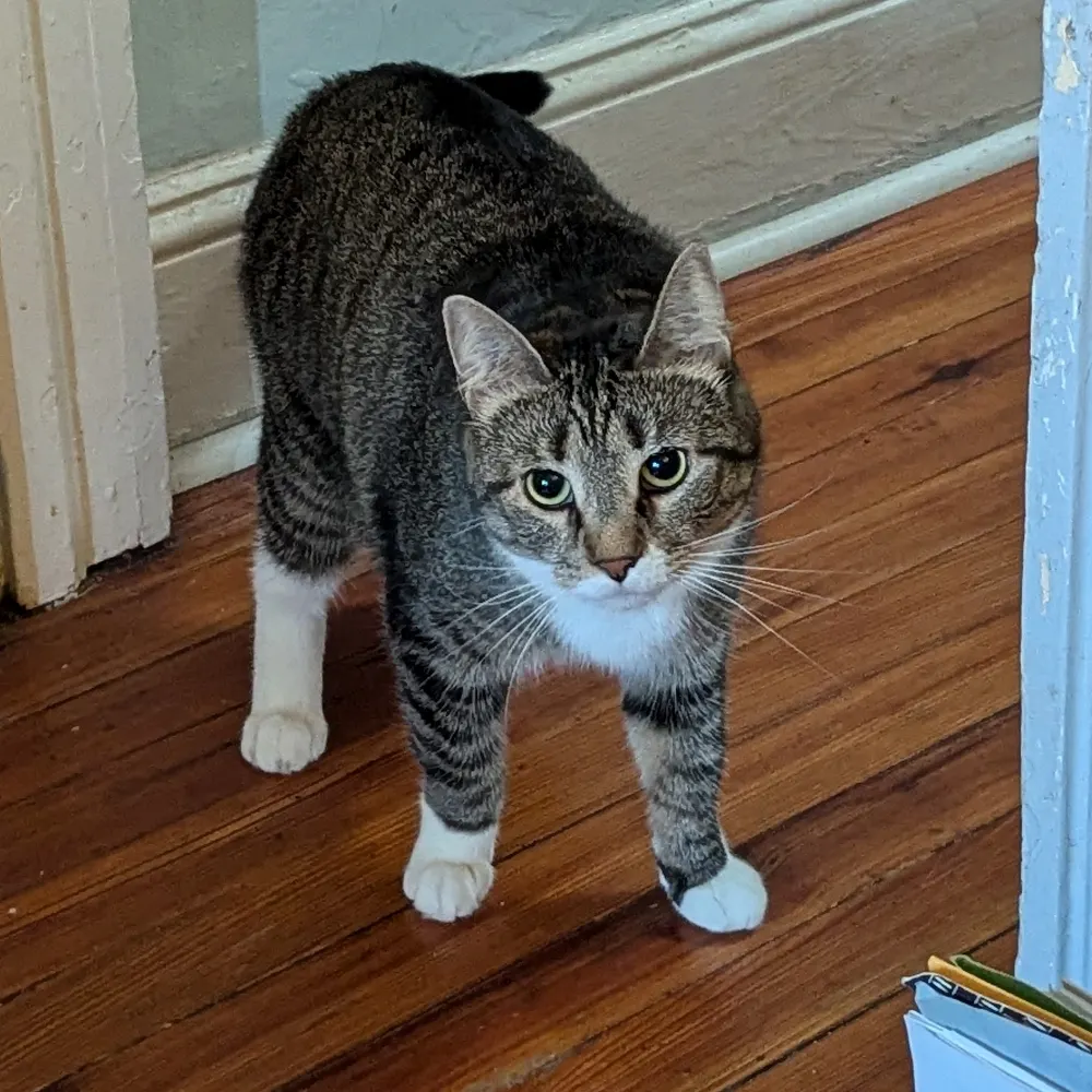 lennalenna.bsky.social's profile picture