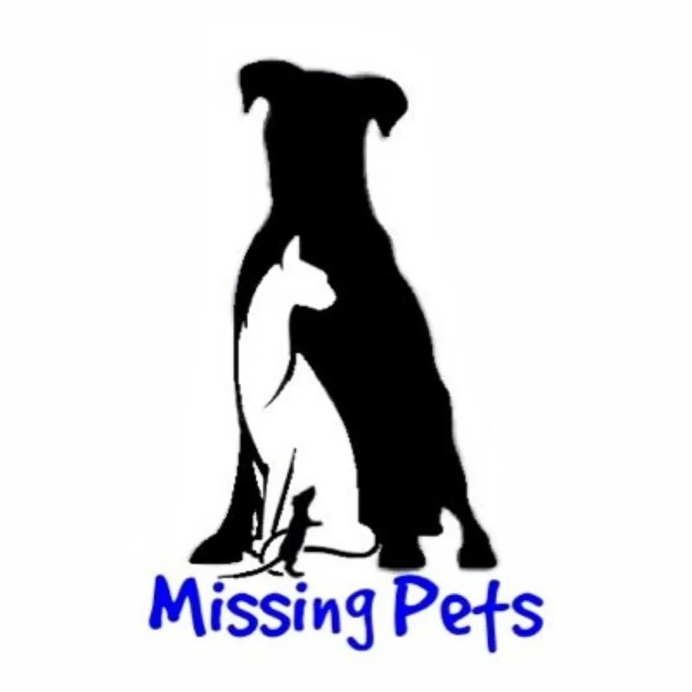 missingpetsgb.bsky.social's profile picture