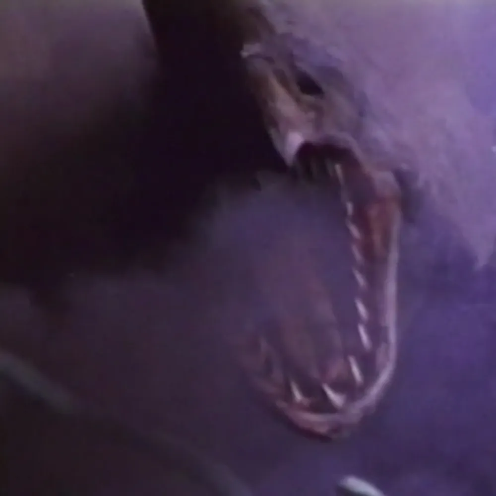 enragefuleric45.bsky.social's profile picture