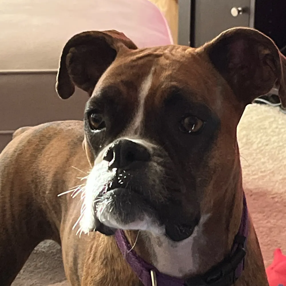 justaguyfromky.bsky.social's profile picture