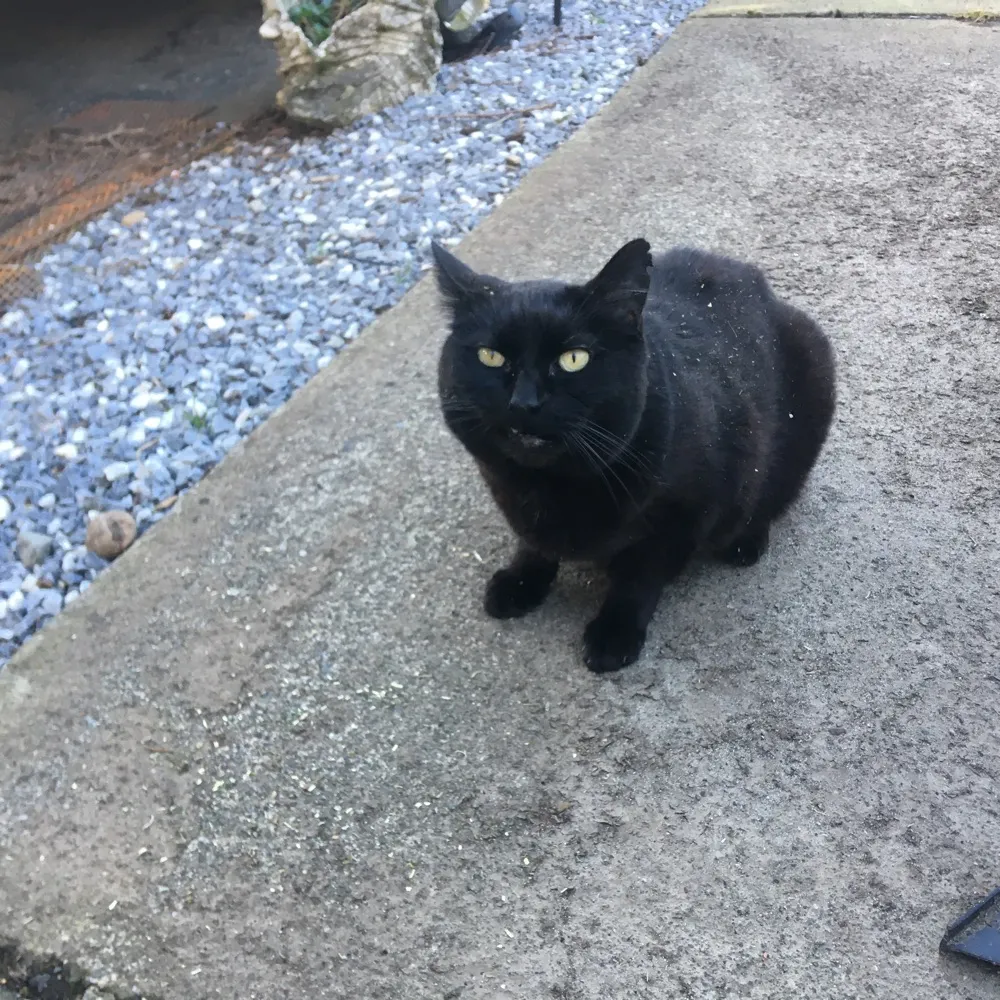 sallyneary.bsky.social's profile picture