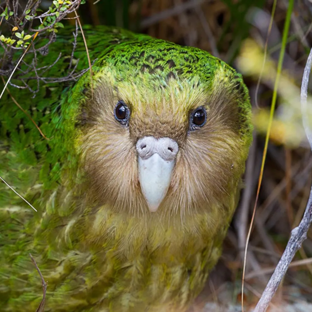 spadge.bsky.social's profile picture