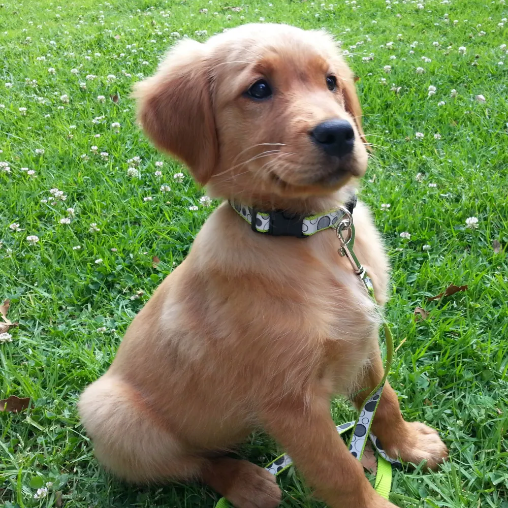 sippycuppsycho.bsky.social's profile picture